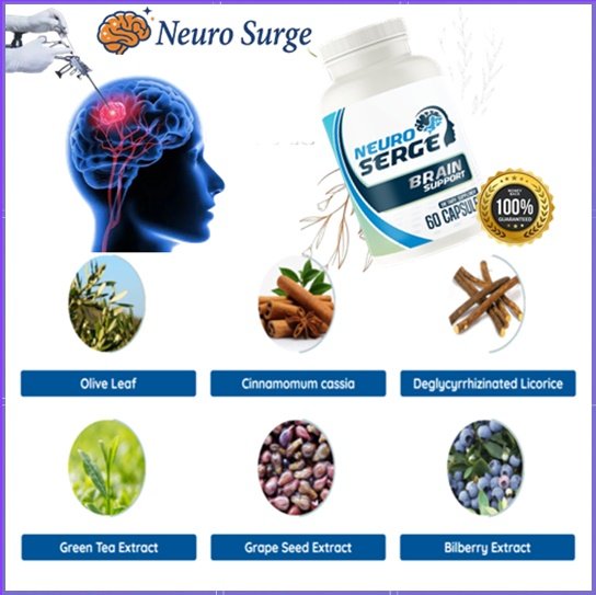 Neuro Serge Ingredients